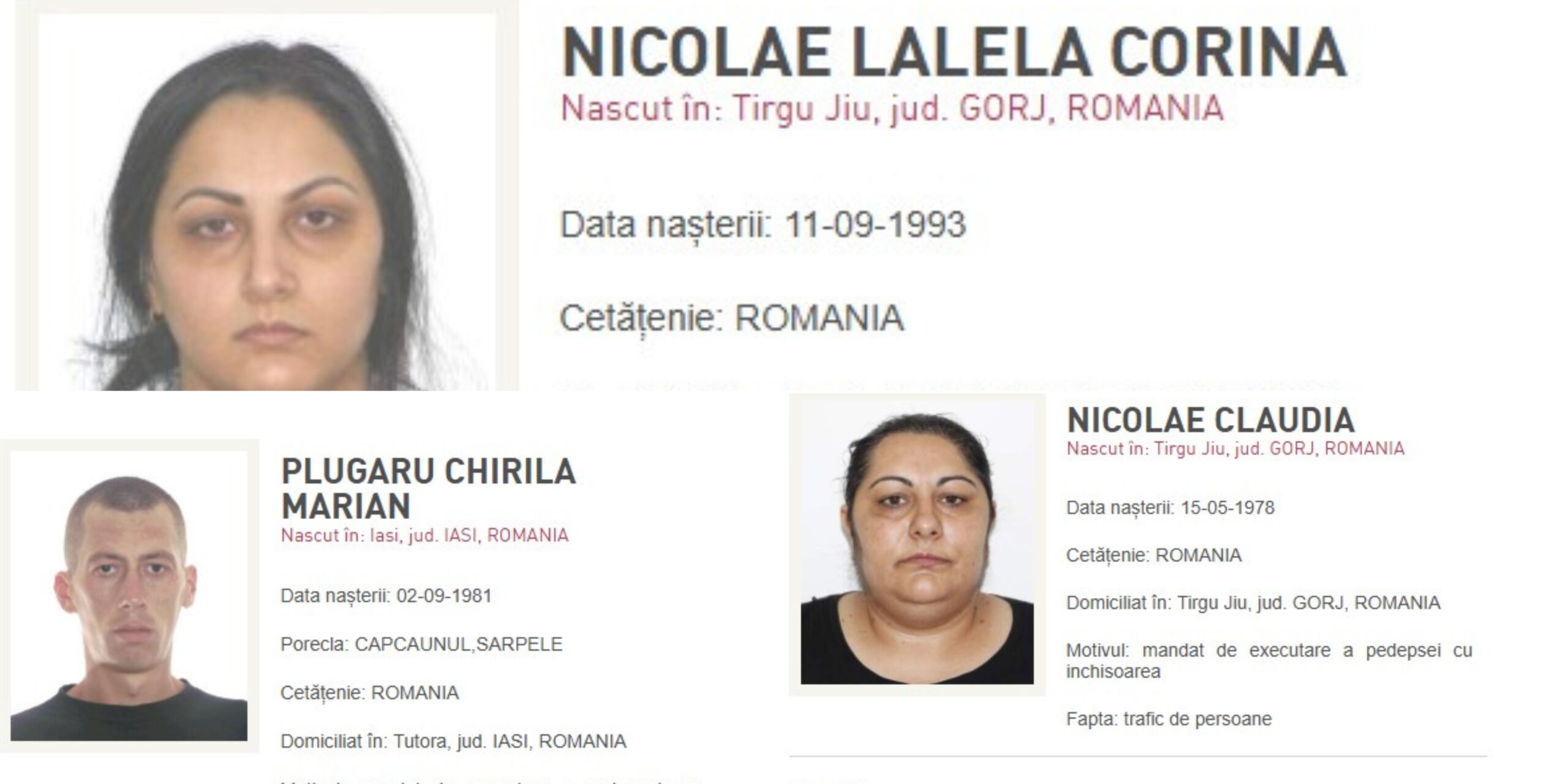 Poliția Română aduce în țară șapte infractori periculoși, inclusiv traficanți și fugarul „Most Wanted”