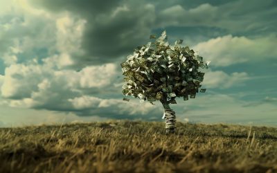 bani-teren-de-vanzare.jpg - ReactiveNews