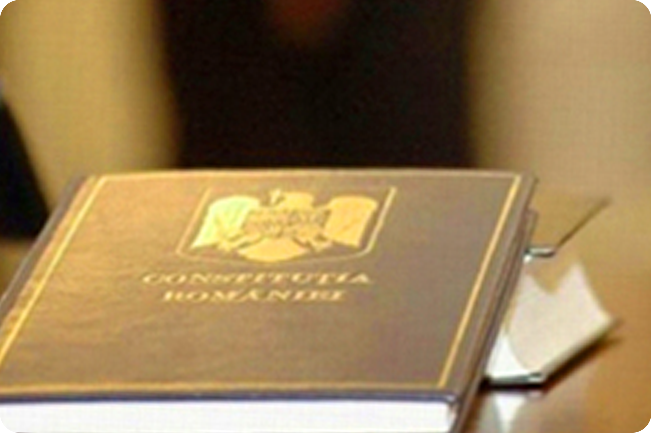 Comunicat oficial al Curții Constituționale a României, 28 decembrie 2025