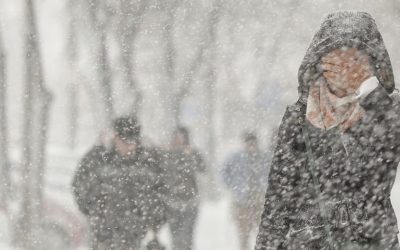 1769494441_index.jpeg - ReactiveNews