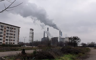 20201214_142011.jpg - ReactiveNews