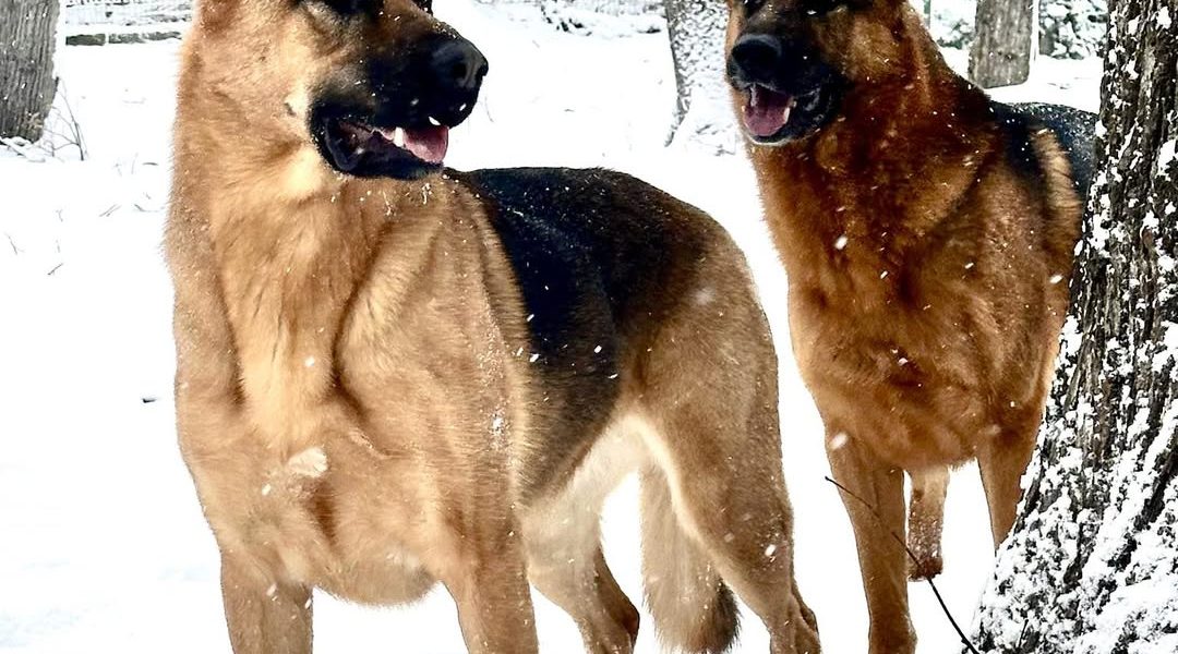 614862386_1473170691474745_5015169552524529986_n.jpg - ReactiveNews