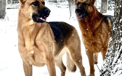 614862386_1473170691474745_5015169552524529986_n.jpg - ReactiveNews