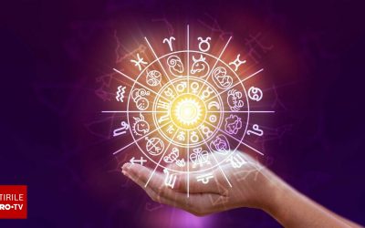 62555788-2.jpg - ReactiveNews