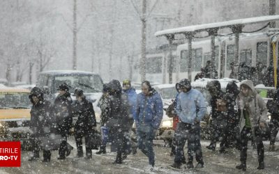 62605100-2.jpg - ReactiveNews