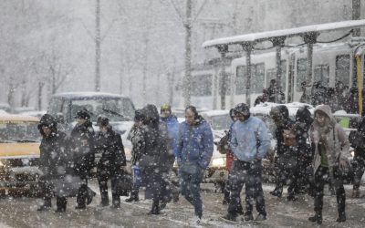 62605100.jpg - ReactiveNews