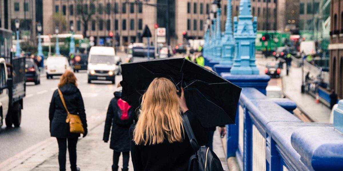 7a631177b14daec3a68663d5deeb658b.jpeg - ReactiveNews