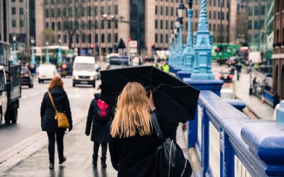 7a631177b14daec3a68663d5deeb658b.jpeg - ReactiveNews