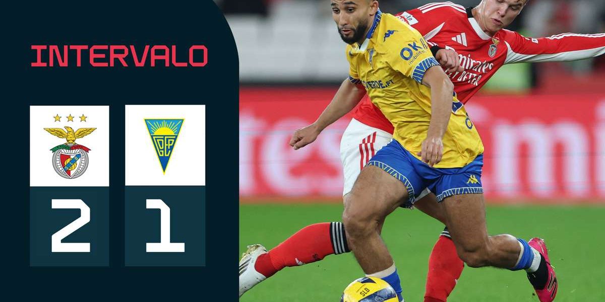 7b4e8514-3156-4d3e-960b-8d4d73abd302.jpeg - ReactiveNews