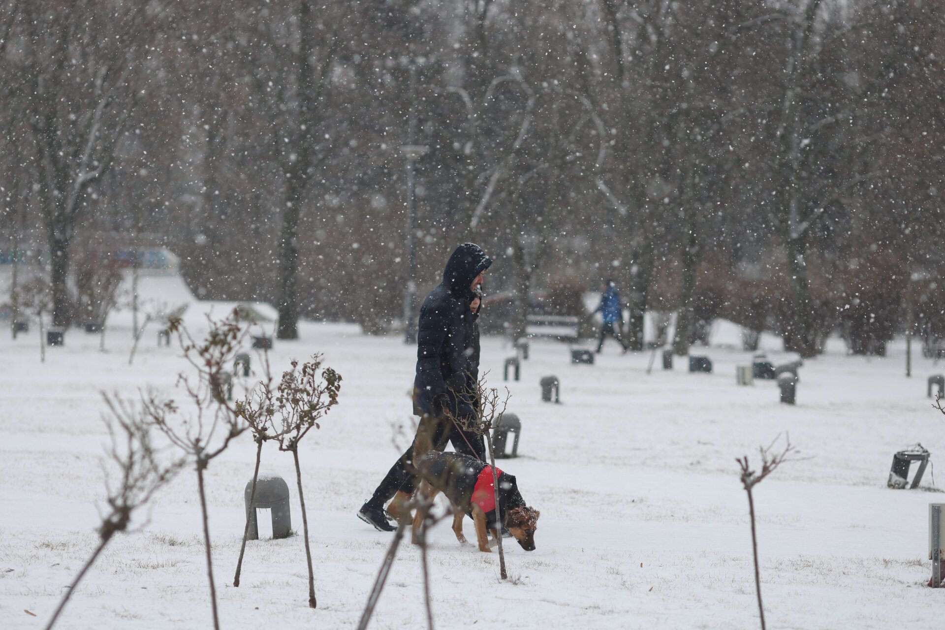 Noi avertizări meteo de ninsori, lapoviță și ploi în peste jumătate din țară – HARTĂ