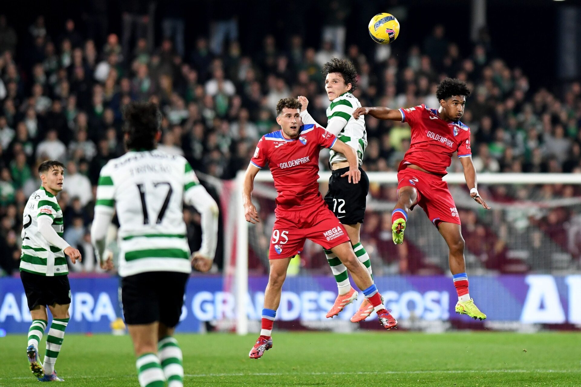 Galo de peito feito empurrou leão às cordas (crónica)