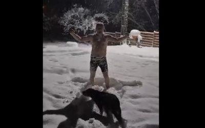 Heius-in-Zapada-3.jpg - ReactiveNews