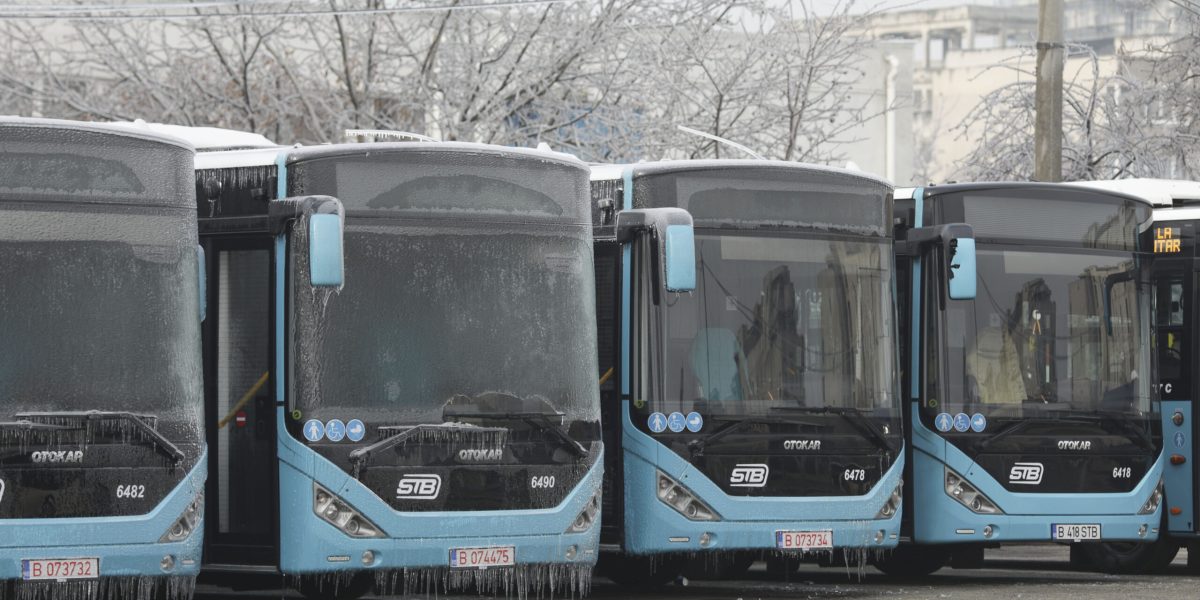 ID104112_INQUAM_Photos_Octav_Ganea-scaled.jpg - ReactiveNews