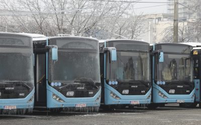 ID104112_INQUAM_Photos_Octav_Ganea-scaled.jpg - ReactiveNews