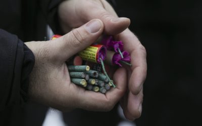 ID129394_INQUAM_Photos_Octav_Ganea.jpg - ReactiveNews