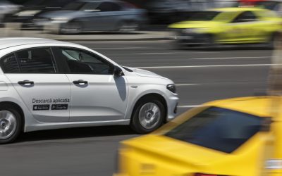 ID198796_INQUAM_Photos_Octav_Ganea-scaled.jpg - ReactiveNews