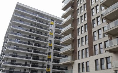 ID211416_INQUAM_Photos_Octav_Ganea-scaled.jpg - ReactiveNews