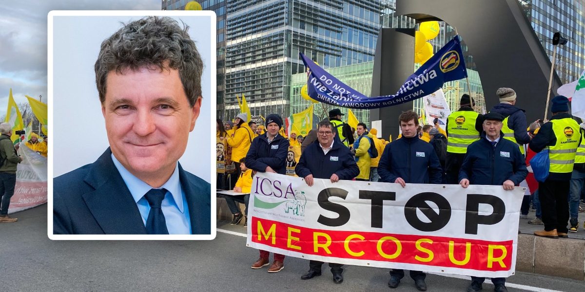 Nicusor-Dan-spune-ca-Romania-sustine-acordul-Mercosur.webp.jpeg - ReactiveNews