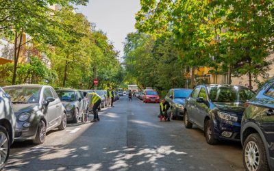 Sector-2-masini-ridicate.jpg - ReactiveNews