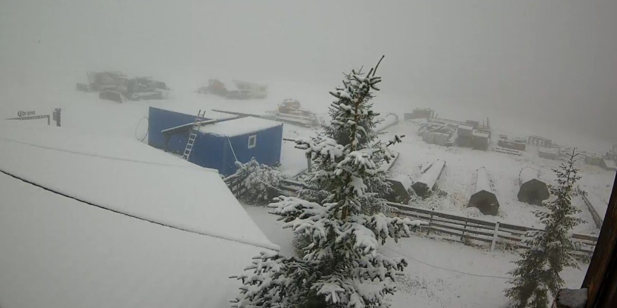 WhatsApp-Image-2025-09-29-at-10.14.41.jpeg - ReactiveNews