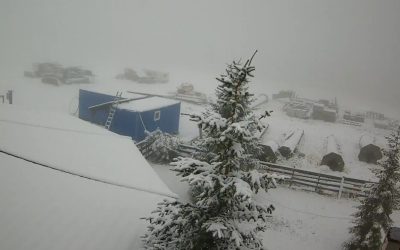 WhatsApp-Image-2025-09-29-at-10.14.41.jpeg - ReactiveNews