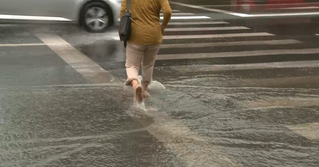 Primăvara bate la ușă în ciuda viscolului de la munte După un interval îndelungat de ger extrem, vremea în România se va schimba semnificativ