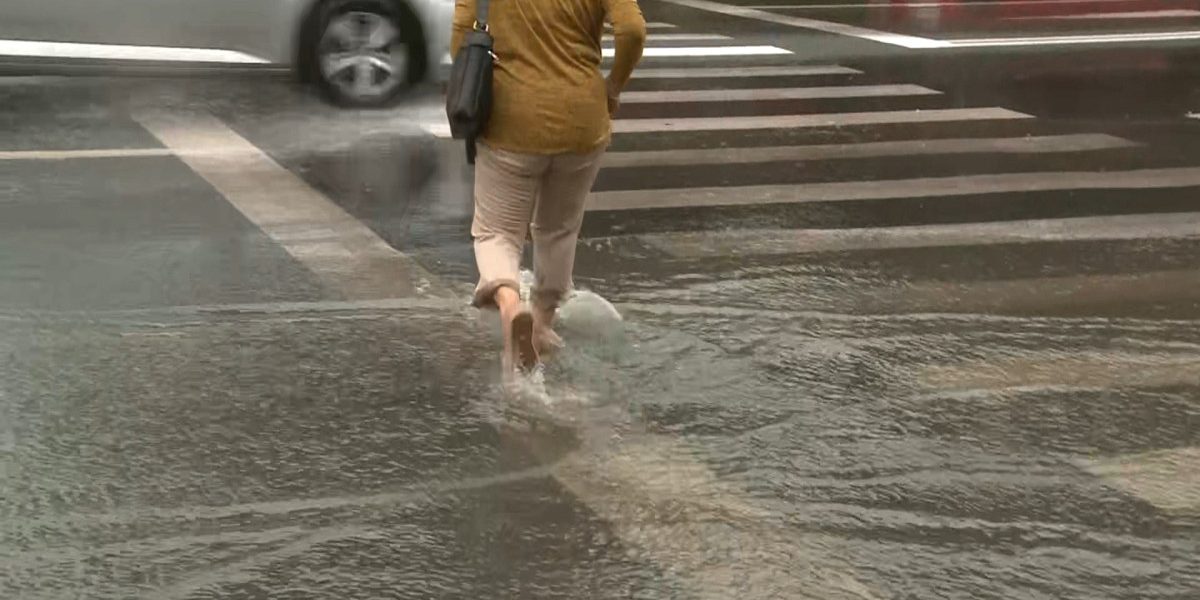 YThhMWE3NzA3NjIwYmYyM2NiYTdlYjljMWJkZQ.thumb_.jpg - ReactiveNews