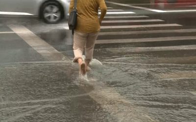 YThhMWE3NzA3NjIwYmYyM2NiYTdlYjljMWJkZQ.thumb_.jpg - ReactiveNews