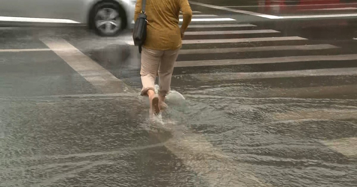 Primăvara bate la ușă în ciuda viscolului de la munte După un interval îndelungat de ger extrem, vremea în România se va schimba semnificativ