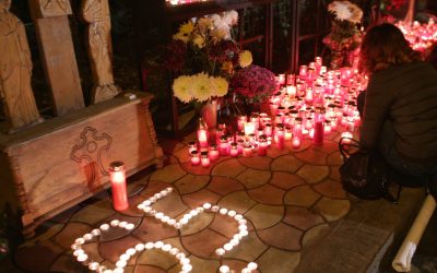 aD02MzAmemM9MSZoYXNoPWQzMzAzMmQ4MmY1YWEyNDY2NzgxNGFlOGM2NzAxYmQz.thumb_.jpg - ReactiveNews