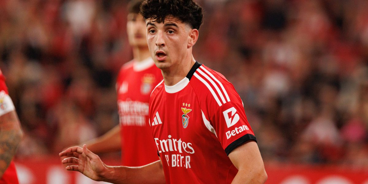 b3e558b3-de15-4a52-a9fd-11e9ddcaafdb.jpg - ReactiveNews