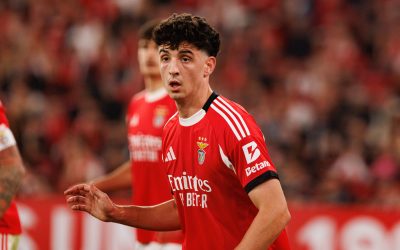 b3e558b3-de15-4a52-a9fd-11e9ddcaafdb.jpg - ReactiveNews