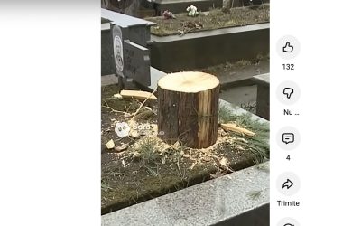 brad-taiat-de-pe-mormant.jpg - ReactiveNews