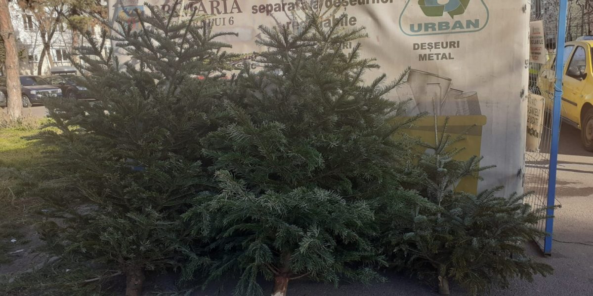 brazi.jpeg - ReactiveNews