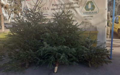 brazi.jpeg - ReactiveNews