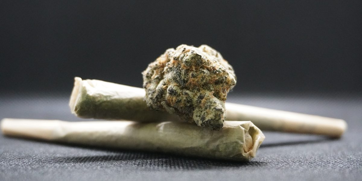 canabis-marijuana-bumps-8054140_1920.jpg - ReactiveNews