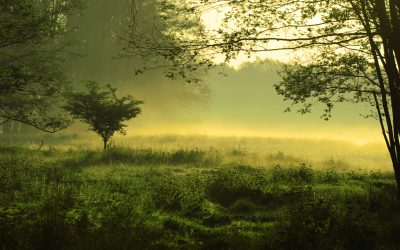 dreamstime_m_4953634.jpg - ReactiveNews