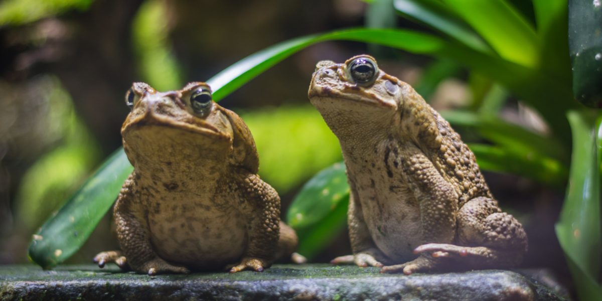 dreamstime_xl_123690325.jpg - ReactiveNews