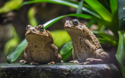 dreamstime_xl_123690325.jpg - ReactiveNews