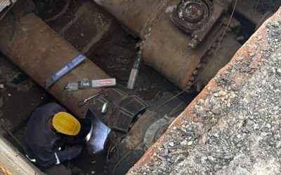 faracaldura-e1769606550197.jpg - ReactiveNews