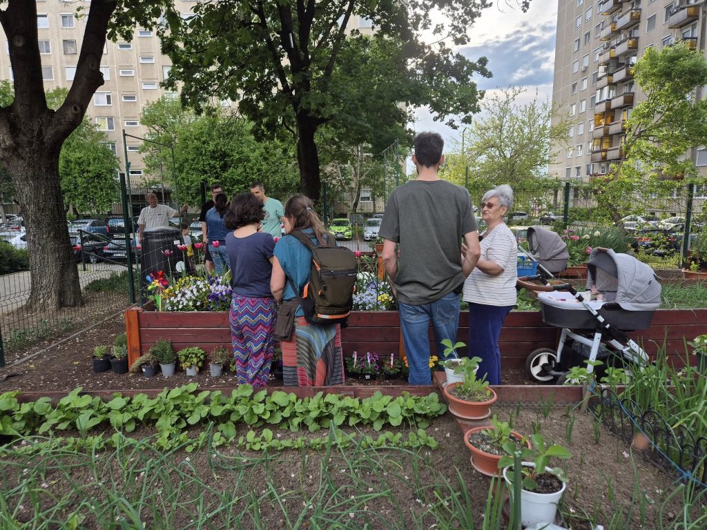 Zeci de organizații civice din București și din alte orașe din țară solicită legalizarea grădinilor comunitare pe domeniul public, o practică comună în multe capitale europene, dar încă interzisă în România