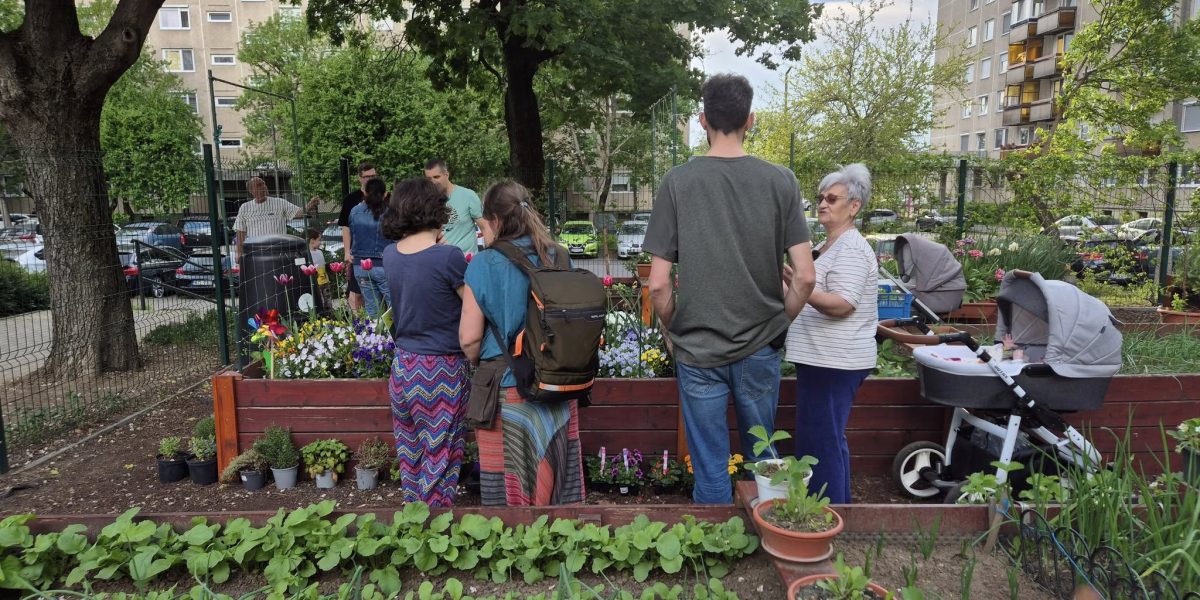 gradinile-comunitare1-debrecen.jpg - ReactiveNews