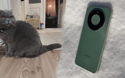 intro-1-scaled.jpg - ReactiveNews