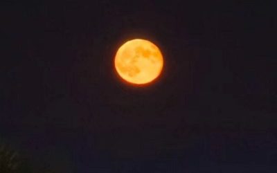 luna-4-e1767379918868.jpg - ReactiveNews