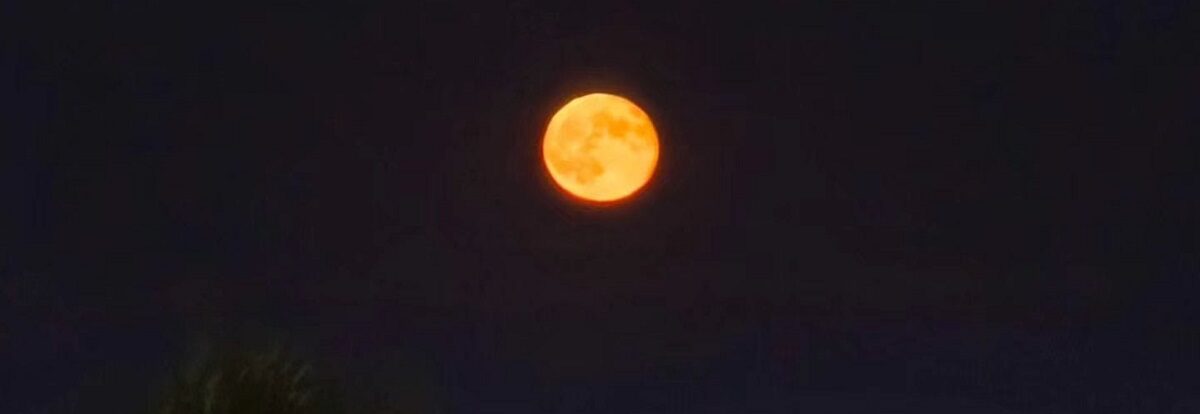 luna-4-e1767379918868.jpg - ReactiveNews