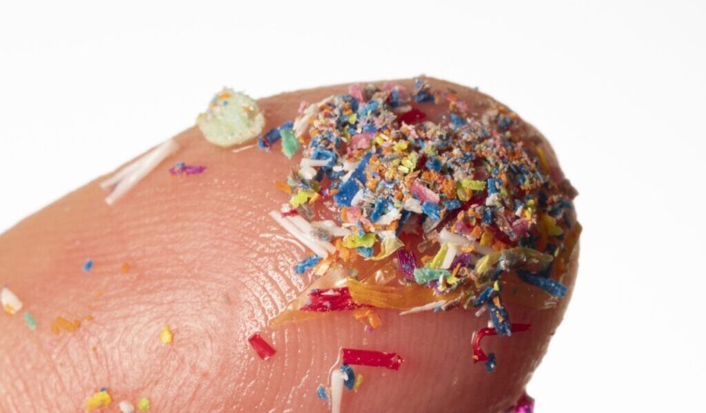 microplastice-e1724489538371.jpg - ReactiveNews