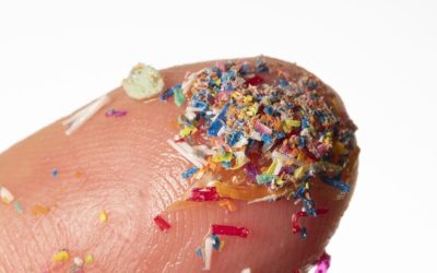 microplastice-e1724489538371.jpg - ReactiveNews