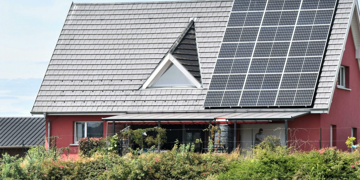 pexels-daniele-la-rosa-messina-1626789-17893477-scaled.jpg - ReactiveNews