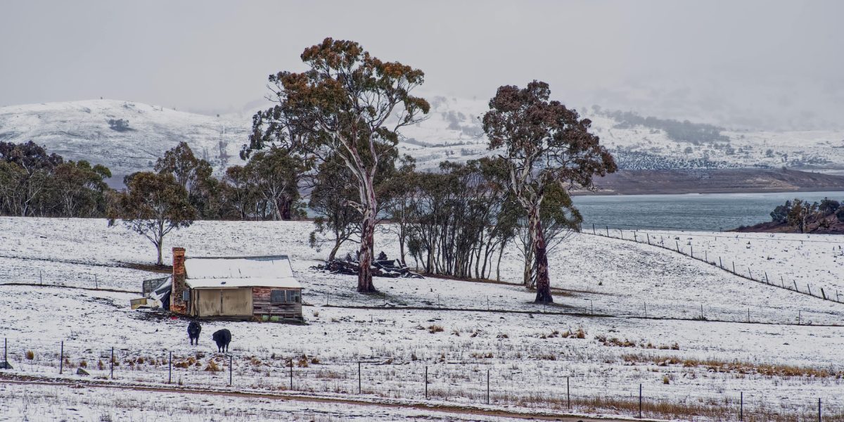 pexels-mark-thomas-2149938474-30979871.jpg - ReactiveNews