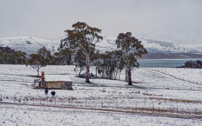 pexels-mark-thomas-2149938474-30979871.jpg - ReactiveNews